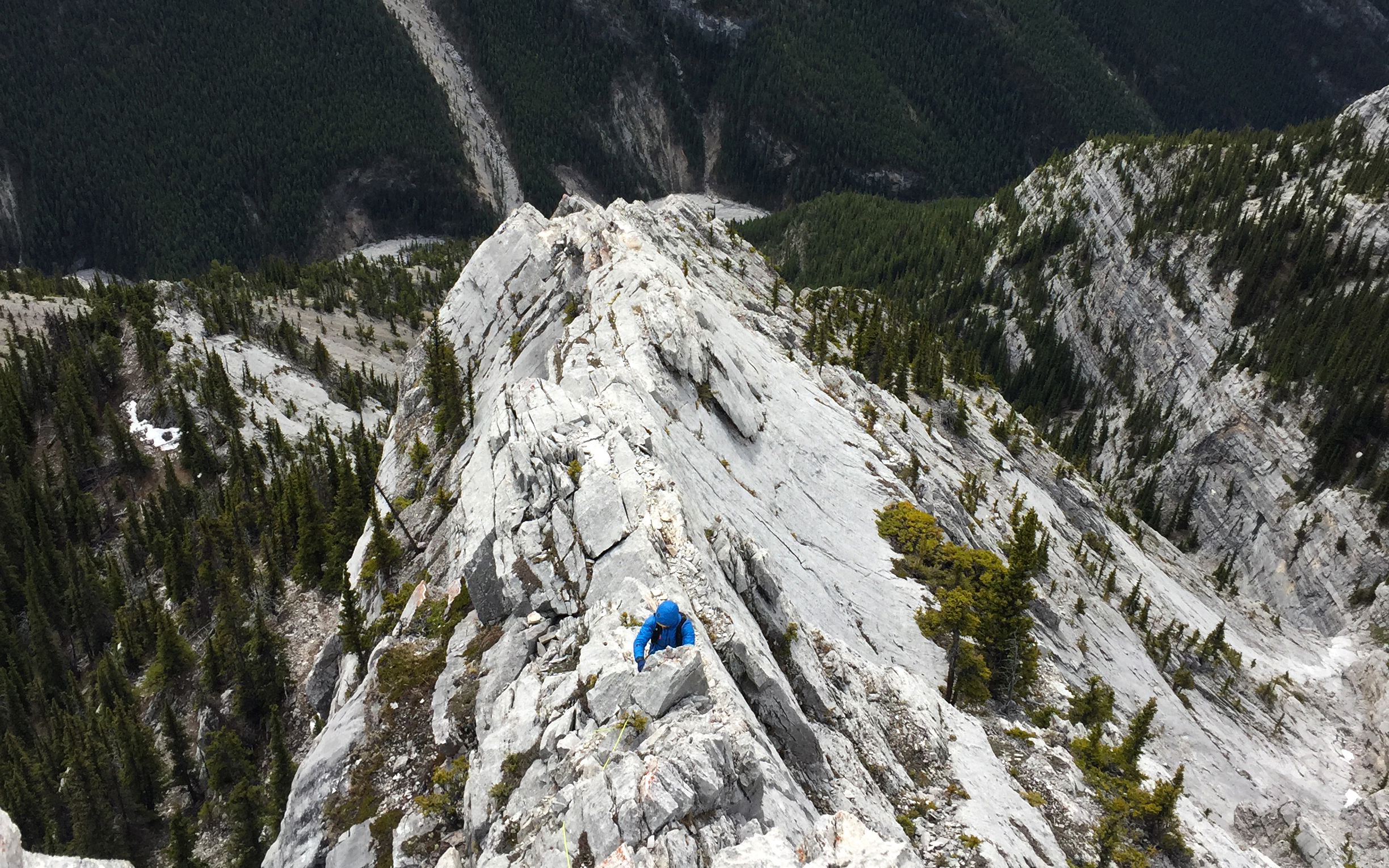 Ray Macdonald Ridge Climb the South East Ridge of Mt Lady Macdonald